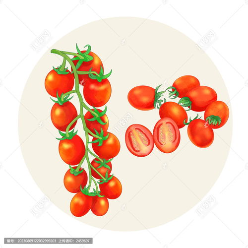 手繪水彩風格圣女果食品包裝設計模板與無脊椎動物的創意融合