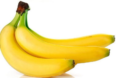 香蕉與無脊椎動物 一場意外的營養聯想