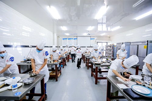 重慶高新區(qū)首屆“高新工匠杯”技能大賽開(kāi)賽，信息技術(shù)咨詢服務(wù)領(lǐng)域人才角逐巔峰